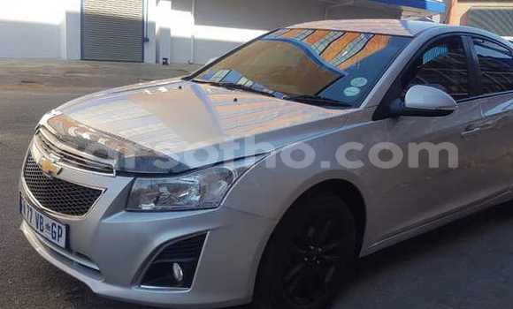 Buy Used Chevrolet Cruze Silver Car in Maputsoe in Leribe Buy Used Chevrolet Cruze Silver Car in Maputsoe in Leribe