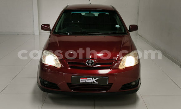 Acheter Occasion Voiture Toyota Runx Rouge à Maputsoa, Leribe Acheter Occasion Voiture Toyota Runx Rouge à Maputsoa, Leribe