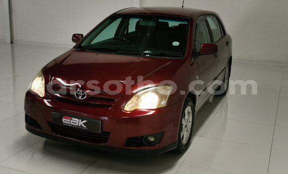 Acheter Occasion Voiture Toyota Runx Rouge à Maputsoa, Leribe Acheter Occasion Voiture Toyota Runx Rouge à Maputsoa, Leribe