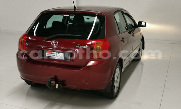 Acheter Occasion Voiture Toyota Runx Rouge à Maputsoa, Leribe Acheter Occasion Voiture Toyota Runx Rouge à Maputsoa, Leribe