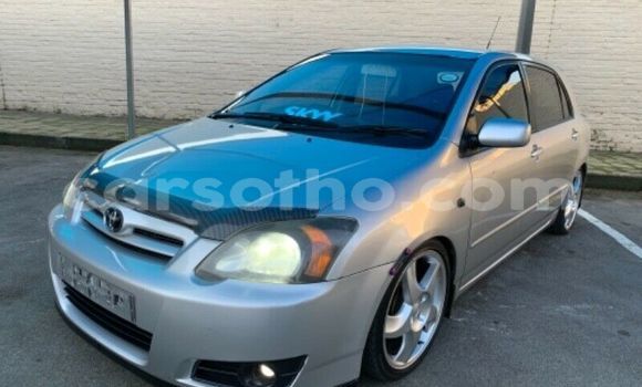 Buy Used Toyota Runx Silver Car in Maputsoe in Leribe Buy Used Toyota Runx Silver Car in Maputsoe in Leribe