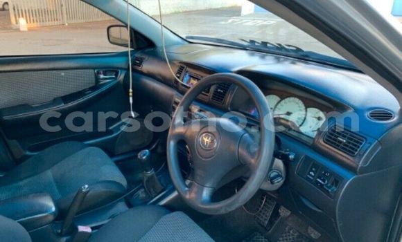 Buy Used Toyota Runx Silver Car in Maputsoe in Leribe Buy Used Toyota Runx Silver Car in Maputsoe in Leribe