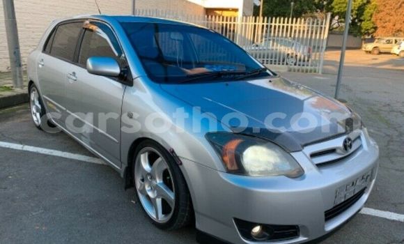 Buy Used Toyota Runx Silver Car in Maputsoe in Leribe Buy Used Toyota Runx Silver Car in Maputsoe in Leribe
