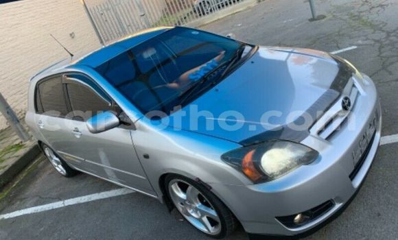 Buy Used Toyota Runx Silver Car in Maputsoe in Leribe Buy Used Toyota Runx Silver Car in Maputsoe in Leribe