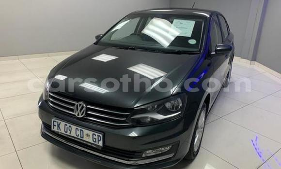Buy Used Volkswagen Polo Black Car in Maseru in Maseru Buy Used Volkswagen Polo Black Car in Maseru in Maseru