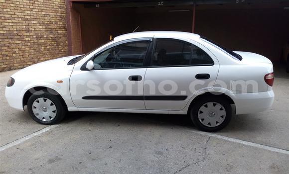 Acheter Occasion Voiture Nissan Almera Blanc à Hlotse, Leribe Acheter Occasion Voiture Nissan Almera Blanc à Hlotse, Leribe