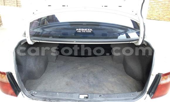 Acheter Occasion Voiture Nissan Almera Blanc à Hlotse, Leribe Acheter Occasion Voiture Nissan Almera Blanc à Hlotse, Leribe