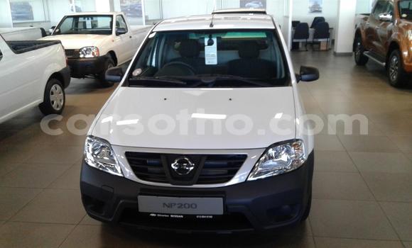 Acheter Occasion Voiture Nissan NP 300 Blanc à Maputsoa, Leribe Acheter Occasion Voiture Nissan NP 300 Blanc à Maputsoa, Leribe