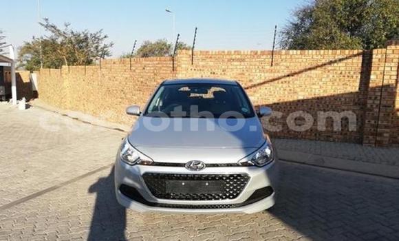 اشتري مستعمل Kia Rio Silver سيارة في Roma في Maseru اشتري مستعمل Kia Rio Silver سيارة في Roma في Maseru