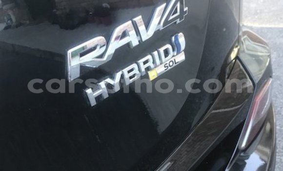 Buy Used Toyota RAV4 Black Car in Peka in Leribe Buy Used Toyota RAV4 Black Car in Peka in Leribe