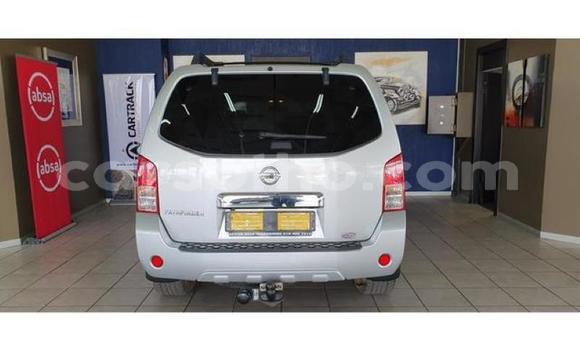 Sayi Na hannu Nissan Pathfinder Silver Mota in Maseru a Maseru Sayi Na hannu Nissan Pathfinder Silver Mota in Maseru a Maseru