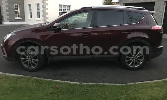 Acheter Occasion Voiture Toyota RAV4 Marron à Hlotse, Leribe Acheter Occasion Voiture Toyota RAV4 Marron à Hlotse, Leribe