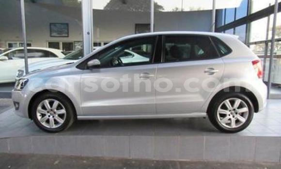 Acheter Occasion Voiture Volkswagen Polo Gris à Thaba–Tseka, Mafeteng Acheter Occasion Voiture Volkswagen Polo Gris à Thaba–Tseka, Mafeteng