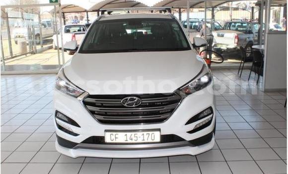 Sayi Na hannu Hyundai Tucson White Mota in Maseru a Maseru Sayi Na hannu Hyundai Tucson White Mota in Maseru a Maseru