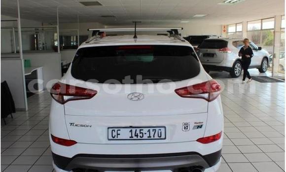 Sayi Na hannu Hyundai Tucson White Mota in Maseru a Maseru Sayi Na hannu Hyundai Tucson White Mota in Maseru a Maseru