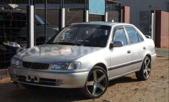 Buy Used Toyota Corolla Silver Car in Maseru in Maseru Buy Used Toyota Corolla Silver Car in Maseru in Maseru