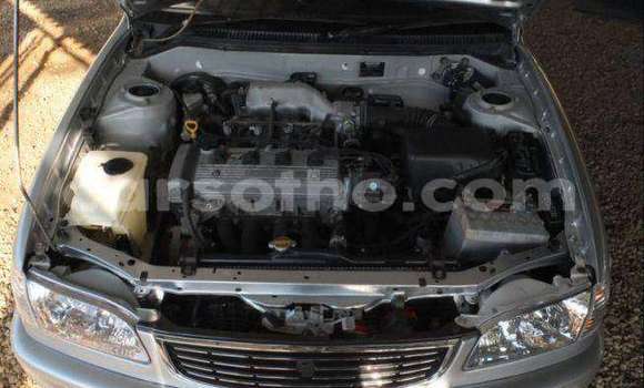 Buy Used Toyota Corolla Silver Car in Maseru in Maseru Buy Used Toyota Corolla Silver Car in Maseru in Maseru