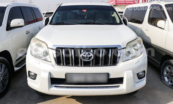 اشتري Imported Toyota Prado White سيارة في Import - Dubai في Maseru اشتري Imported Toyota Prado White سيارة في Import - Dubai في Maseru