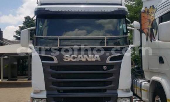 Buy Used Scania R420 White Truck in Maseru in Maseru Buy Used Scania R420 White Truck in Maseru in Maseru