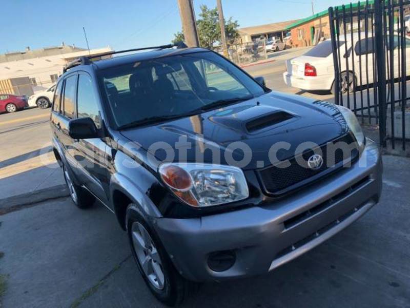 Big with watermark raav