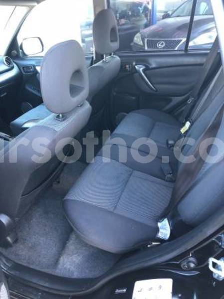 Big with watermark raav3