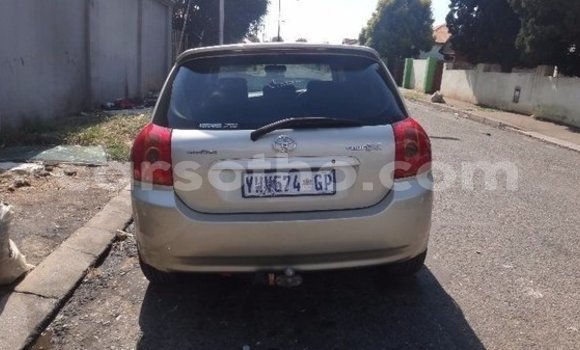 Acheter Occasion Voiture Toyota Runx Gris à Roma, Maseru Acheter Occasion Voiture Toyota Runx Gris à Roma, Maseru