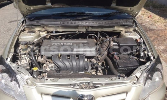 Acheter Occasion Voiture Toyota Runx Gris à Roma, Maseru Acheter Occasion Voiture Toyota Runx Gris à Roma, Maseru