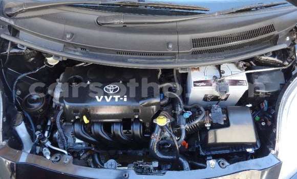 اشتري مستعمل Toyota Yaris Black سيارة في Maputsoa في Leribe اشتري مستعمل Toyota Yaris Black سيارة في Maputsoa في Leribe