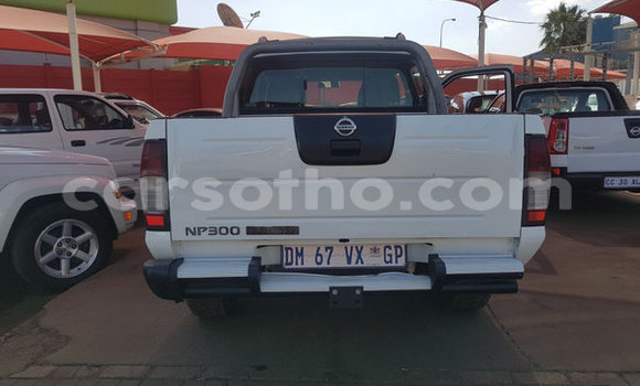 Acheter Occasion Voiture Nissan Hardbody Blanc à Mafeteng, Mafeteng Acheter Occasion Voiture Nissan Hardbody Blanc à Mafeteng, Mafeteng