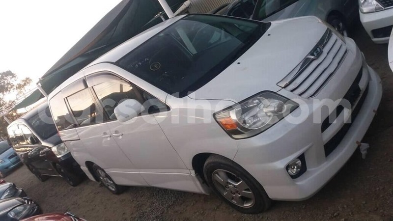 Big with watermark 69290006 2092875417688394 8618383342972174336 n