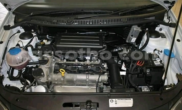 اشتري مستعمل Volkswagen Polo White سيارة في Maseru في Maseru اشتري مستعمل Volkswagen Polo White سيارة في Maseru في Maseru