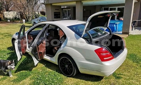 Acheter Occasion Voiture Mercedes-Benz 300CD Blanc à Maseru, Maseru Acheter Occasion Voiture Mercedes-Benz 300CD Blanc à Maseru, Maseru