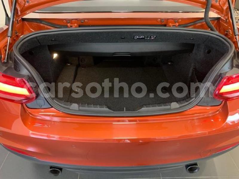 Big with watermark crop800x600 84