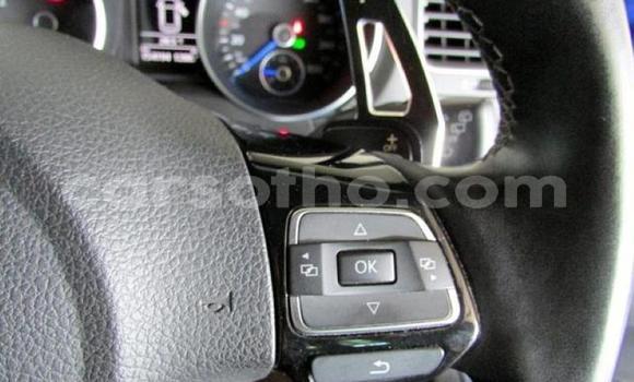اشتري مستعمل Volkswagen Golf R Blue سيارة في Maseru في Maseru اشتري مستعمل Volkswagen Golf R Blue سيارة في Maseru في Maseru