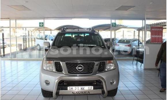 اشتري مستعمل Nissan Navara Silver سيارة في Maseru في Maseru اشتري مستعمل Nissan Navara Silver سيارة في Maseru في Maseru