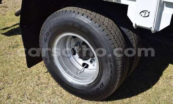 Acheter Occasion Utilitaire Isuzu FTR 850 Blanc à Maputsoa, Leribe Acheter Occasion Utilitaire Isuzu FTR 850 Blanc à Maputsoa, Leribe