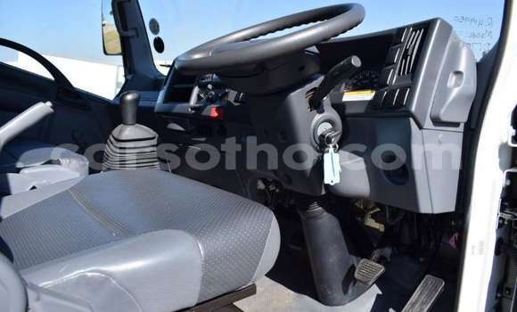 Acheter Occasion Utilitaire Isuzu FTR 850 Blanc à Maputsoa, Leribe Acheter Occasion Utilitaire Isuzu FTR 850 Blanc à Maputsoa, Leribe