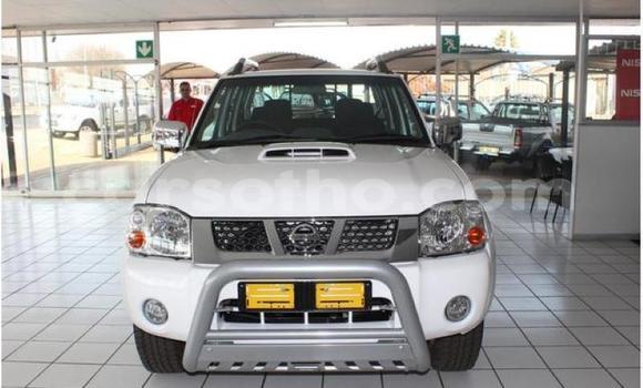 Acheter Occasion Voiture Nissan NP 300 Blanc à Hlotse, Leribe Acheter Occasion Voiture Nissan NP 300 Blanc à Hlotse, Leribe
