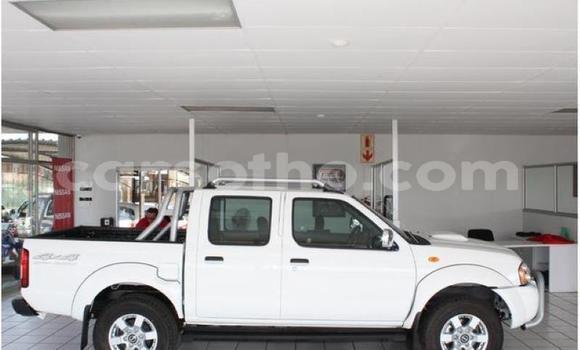 Acheter Occasion Voiture Nissan NP 300 Blanc à Hlotse, Leribe Acheter Occasion Voiture Nissan NP 300 Blanc à Hlotse, Leribe