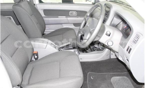 Acheter Occasion Voiture Nissan NP 300 Blanc à Hlotse, Leribe Acheter Occasion Voiture Nissan NP 300 Blanc à Hlotse, Leribe
