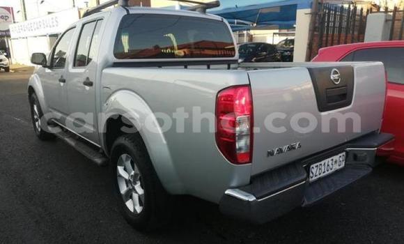 اشتري مستعمل Nissan Navara Other سيارة في Roma في Maseru اشتري مستعمل Nissan Navara Other سيارة في Roma في Maseru