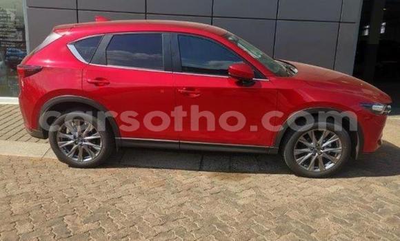 Acheter Occasion Voiture Mazda CX-5 Rouge à Maseru, Maseru Acheter Occasion Voiture Mazda CX-5 Rouge à Maseru, Maseru