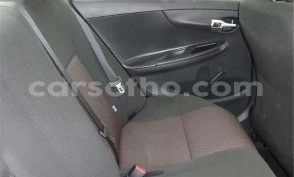 Acheter Occasion Voiture Toyota Corolla Gris à Maseru, Maseru Acheter Occasion Voiture Toyota Corolla Gris à Maseru, Maseru