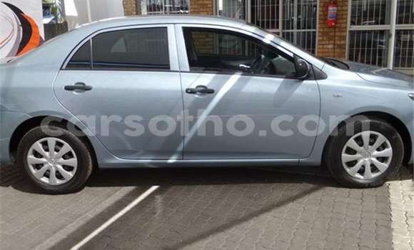 Acheter Occasion Voiture Toyota Corolla Gris à Maseru, Maseru Acheter Occasion Voiture Toyota Corolla Gris à Maseru, Maseru