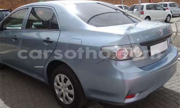 Acheter Occasion Voiture Toyota Corolla Gris à Maseru, Maseru Acheter Occasion Voiture Toyota Corolla Gris à Maseru, Maseru