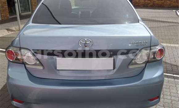 Acheter Occasion Voiture Toyota Corolla Gris à Maseru, Maseru Acheter Occasion Voiture Toyota Corolla Gris à Maseru, Maseru