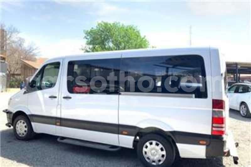 Big with watermark 30