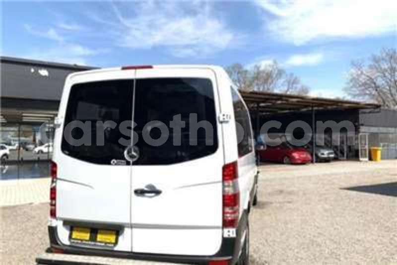 Big with watermark 40