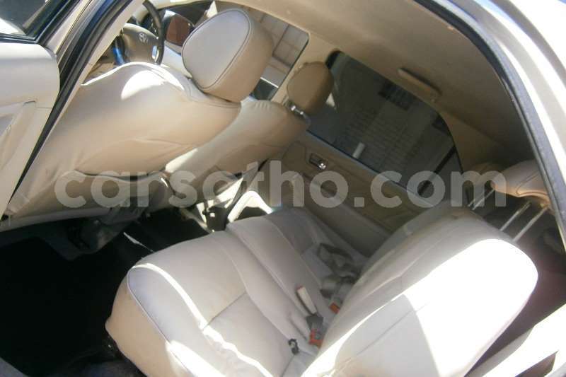 Big with watermark 62