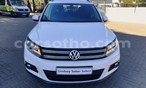 اشتري مستعمل Volkswagen Tiguan White سيارة في Butha–Buthe في Thaba-Tseka اشتري مستعمل Volkswagen Tiguan White سيارة في Butha–Buthe في Thaba-Tseka
